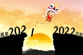 Ҋ(jin)20212022